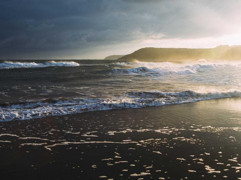 Something sweet for subscribers