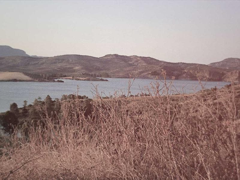 Geneva sunsets hit different